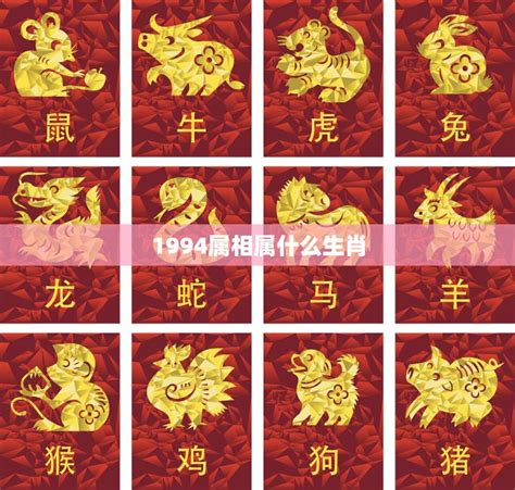 1994属|1994年属什么生肖配对 1994年和什么属相最配